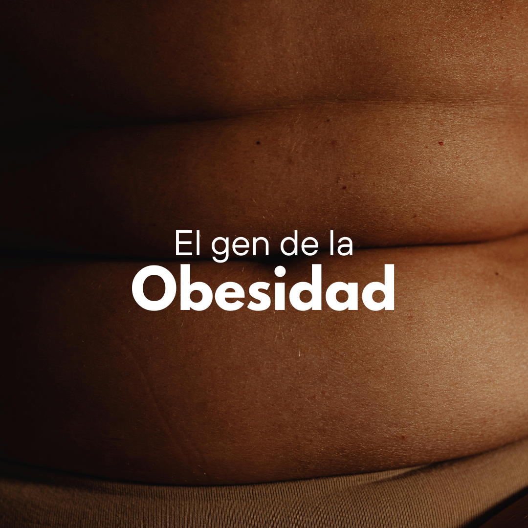Gen de la obesidad